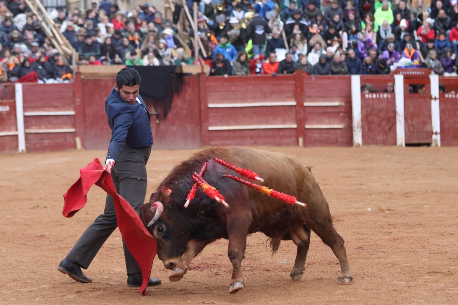 Novillada sin picadores del bolsín taurino y rejones en Ciudad Rodrigo