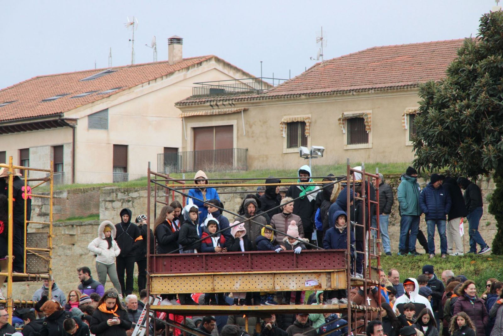 whatsapp-image-2025-03-01-at-11-53-55