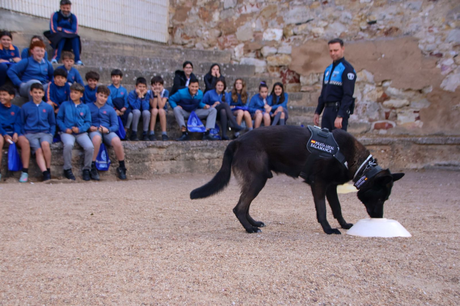 Reportaje perros Policía Local "semillas de conciencia"