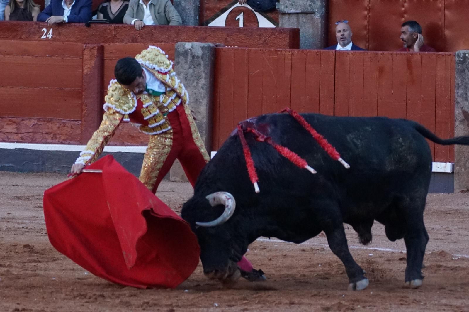 Emilio de Justo, Juan Ortega y Roca Rey inauguran el cartel de figuras en la feria de Salamanca: la corrida de Garcigrande en imágenes