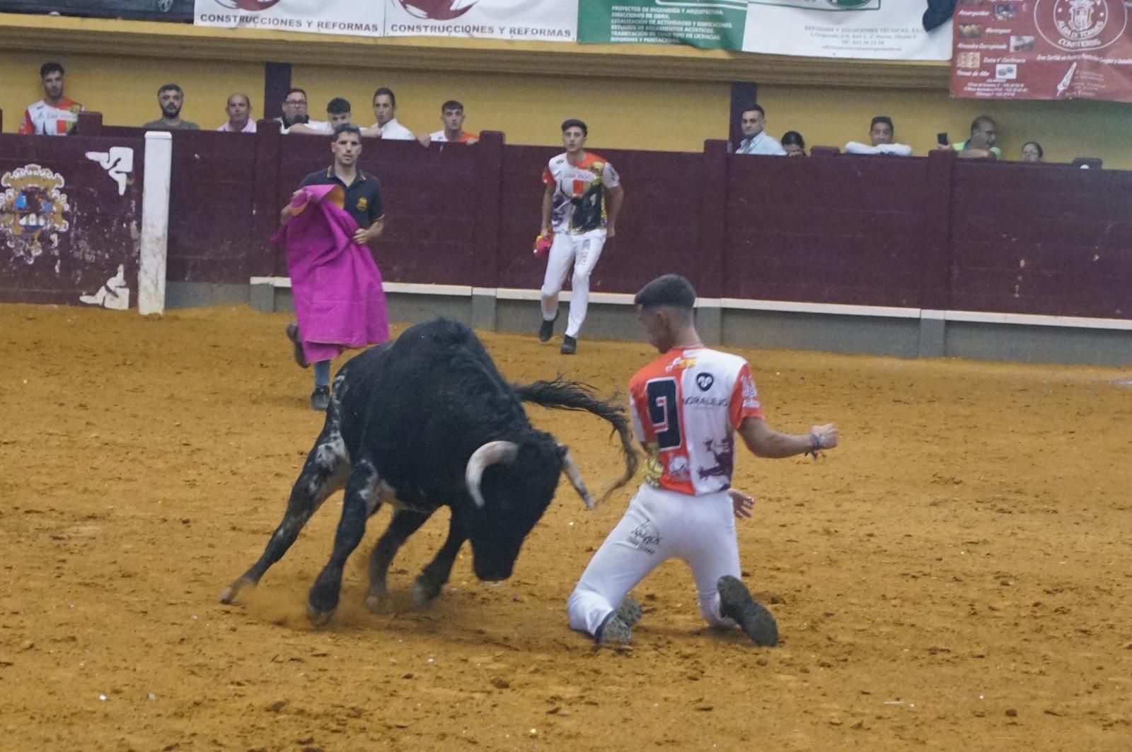 Alba de Tormes celebra un nuevo concurso de cortes
