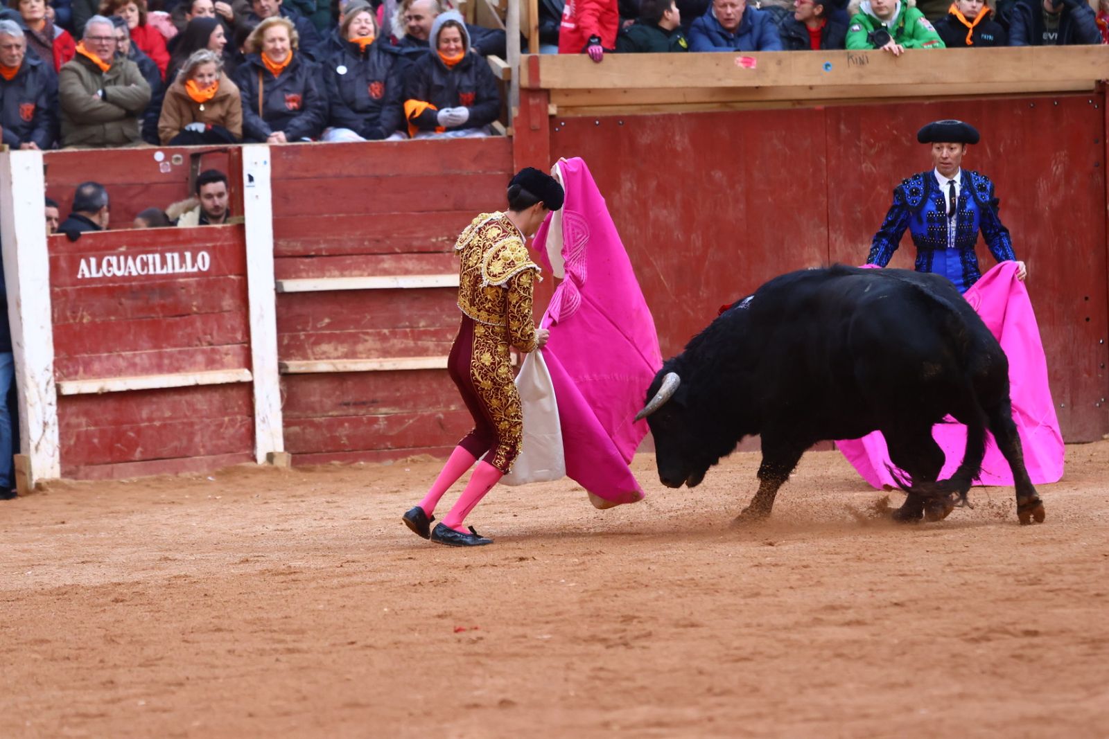 Novillada con picadores de lunes en el Carnaval del Toro de Ciudad Rodrigo 2026