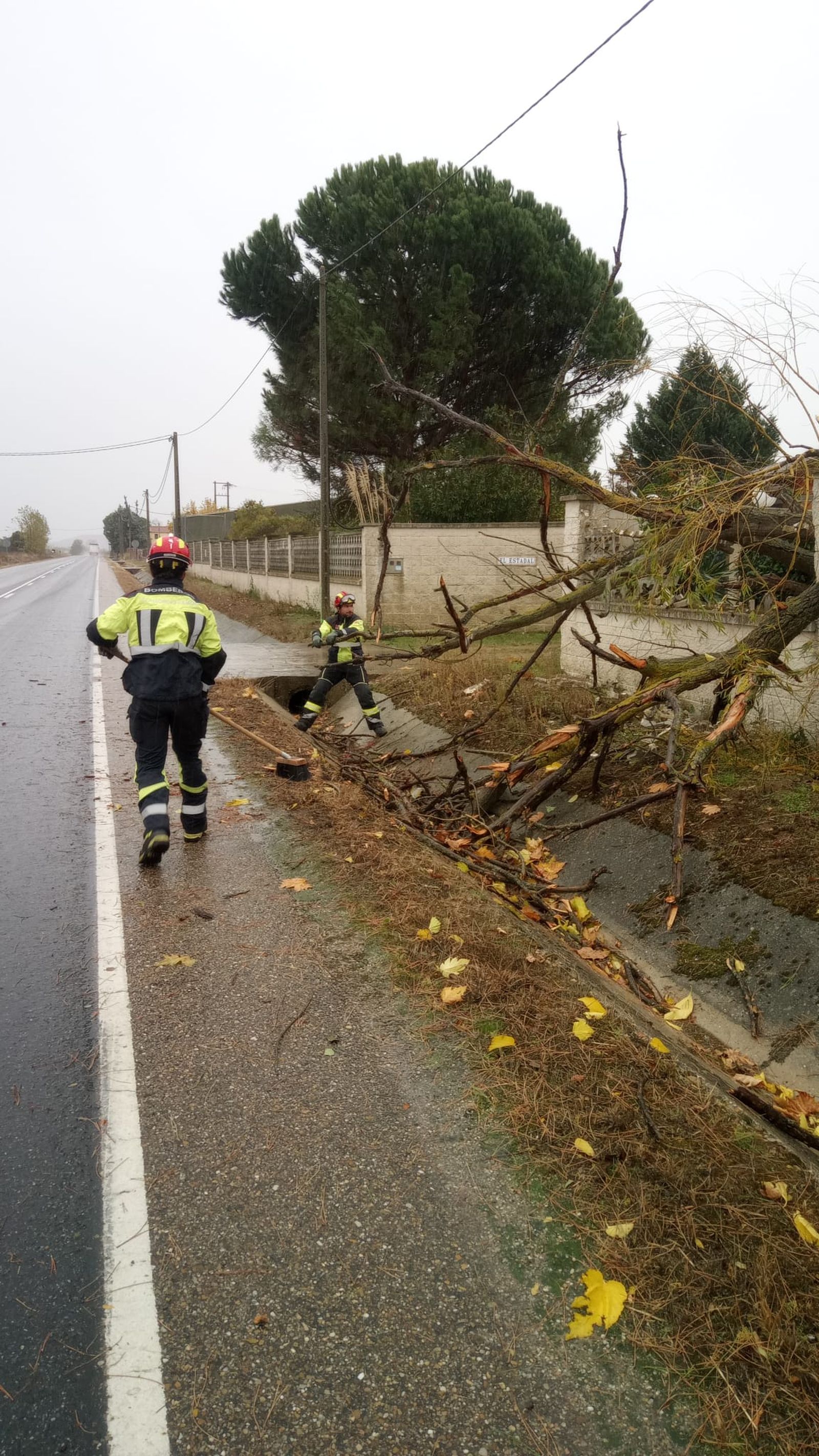Los efectivos retiraron un árbol que obstaculizaba el paso