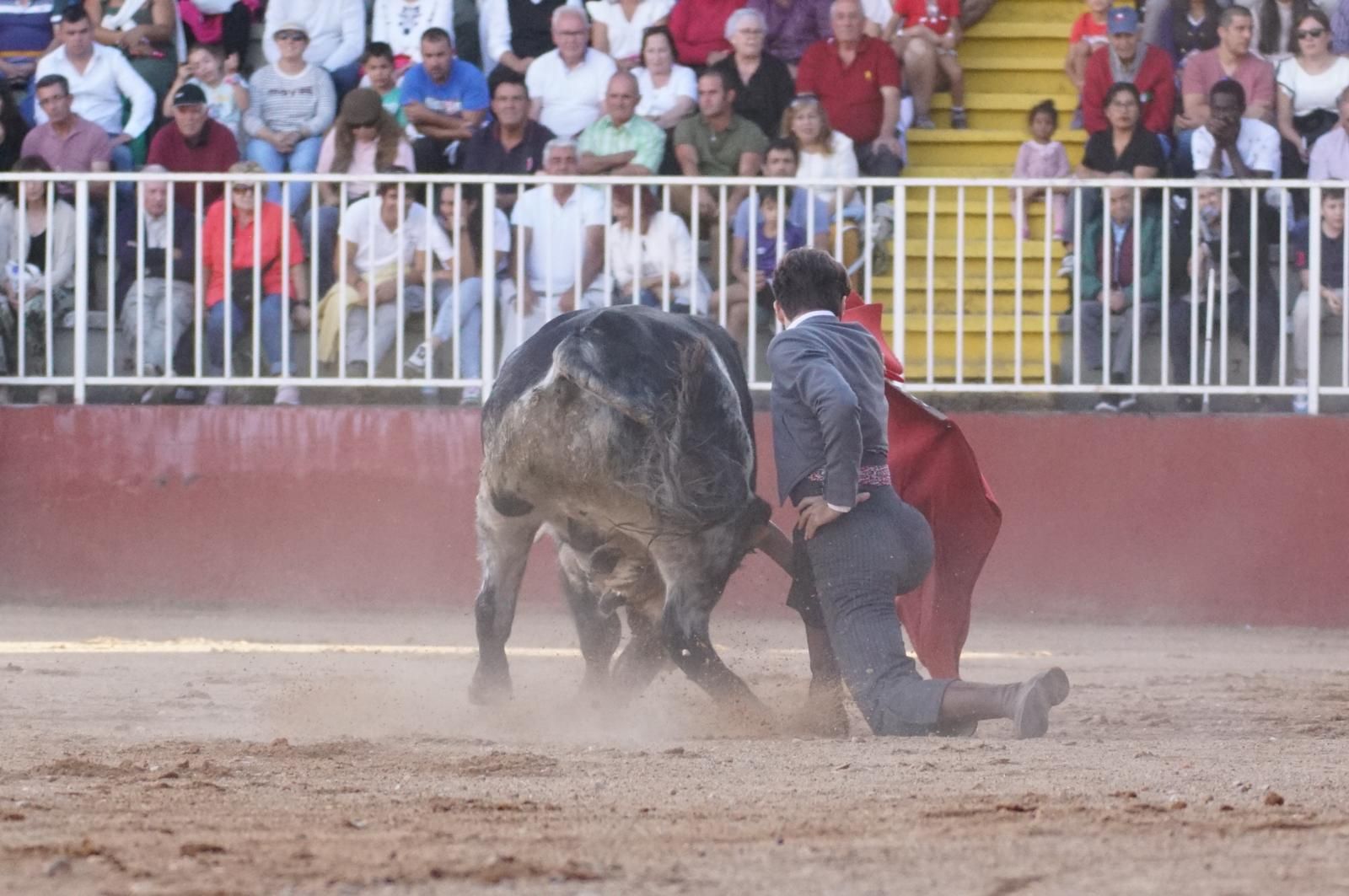 whatsapp-image-2024-09-07-at-20-48-36-1