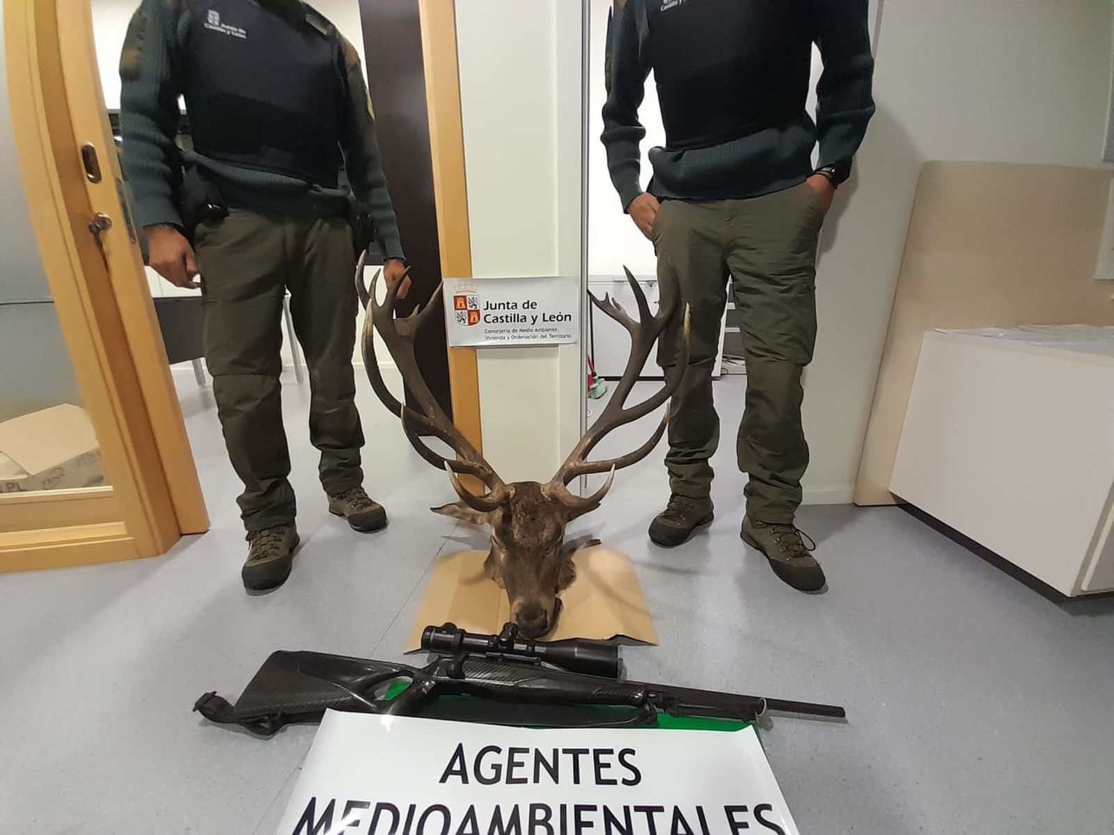 Agentes medioambientales localizan a dos cazadores furtivos con un ciervo abatido. ICAL