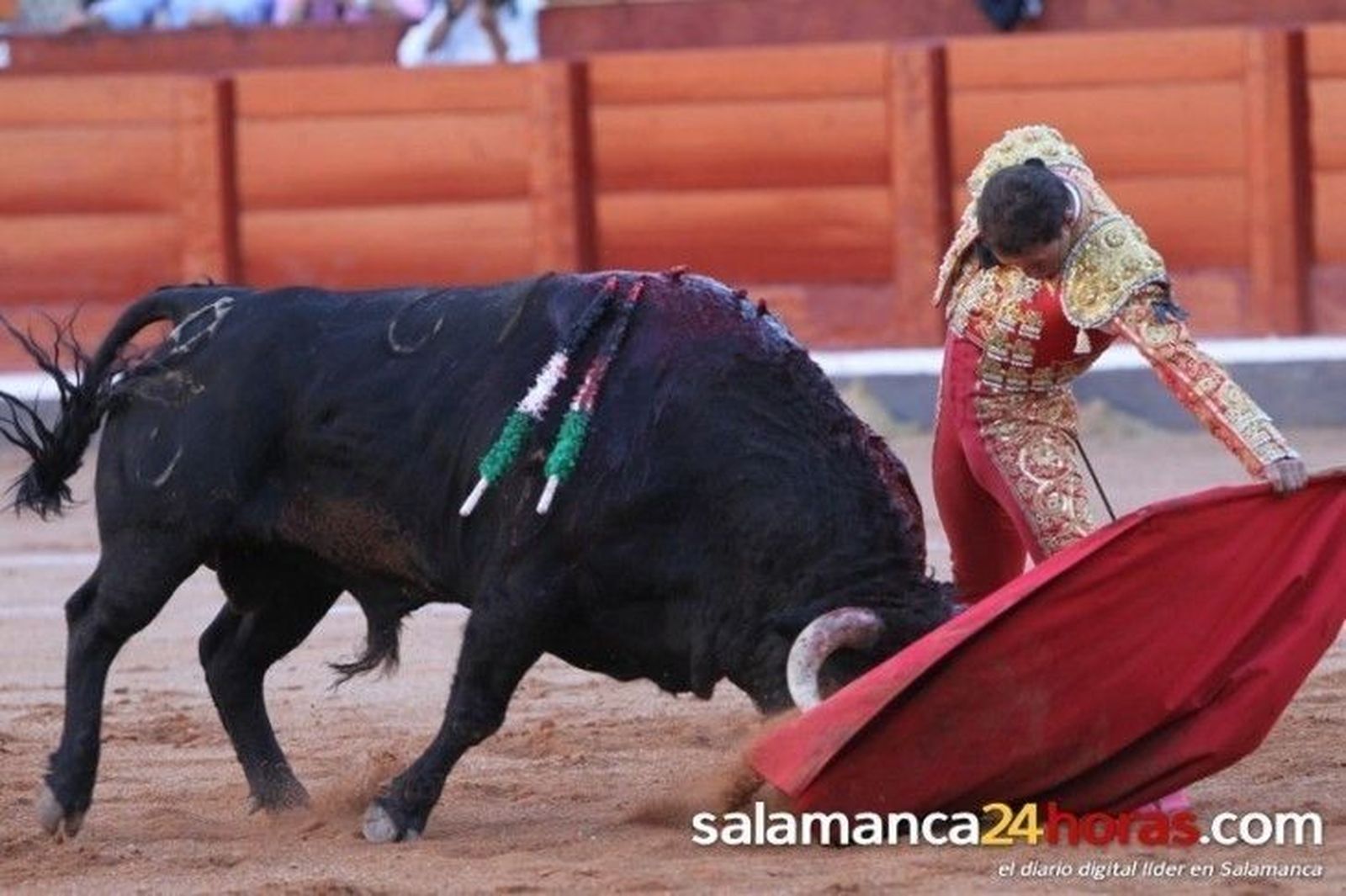 Este jueves entra en vigor la ley de protección de la tauromaquia