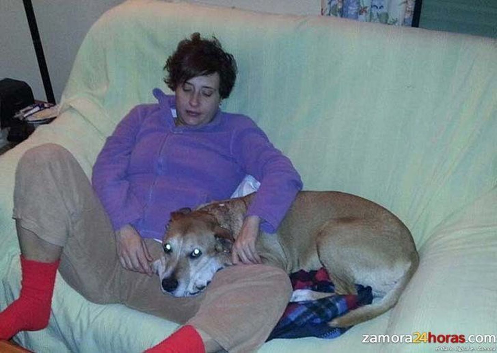 Defensa Animal Zamora condena el “asesinato” de Excalibur, el perro de la auxiliar de Enfermería contagiada de Ébola