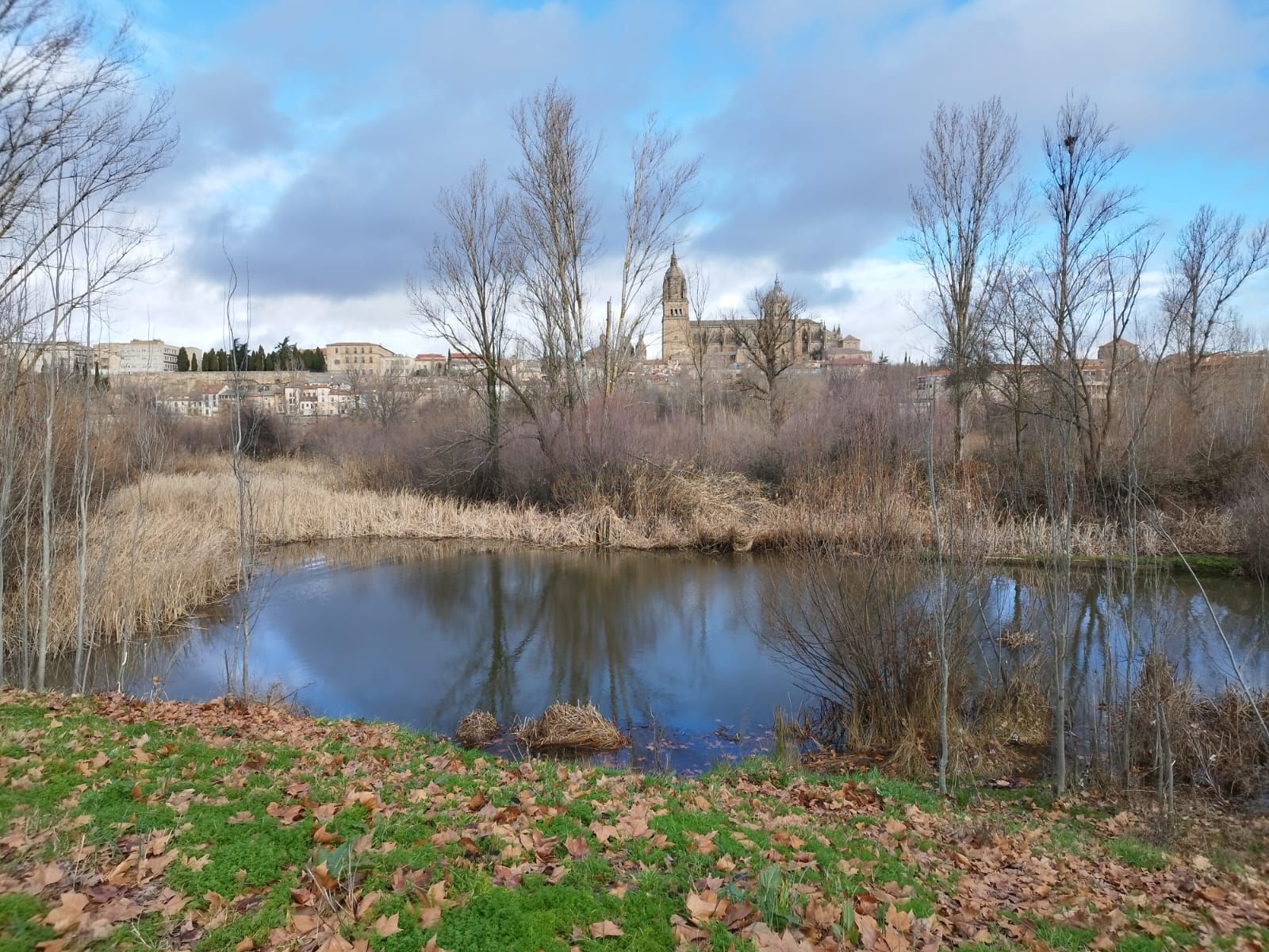 rio-tormes-a-su-paso-por-salamanca-tras-la-borrasca-irene-fotos-andrea-m-11