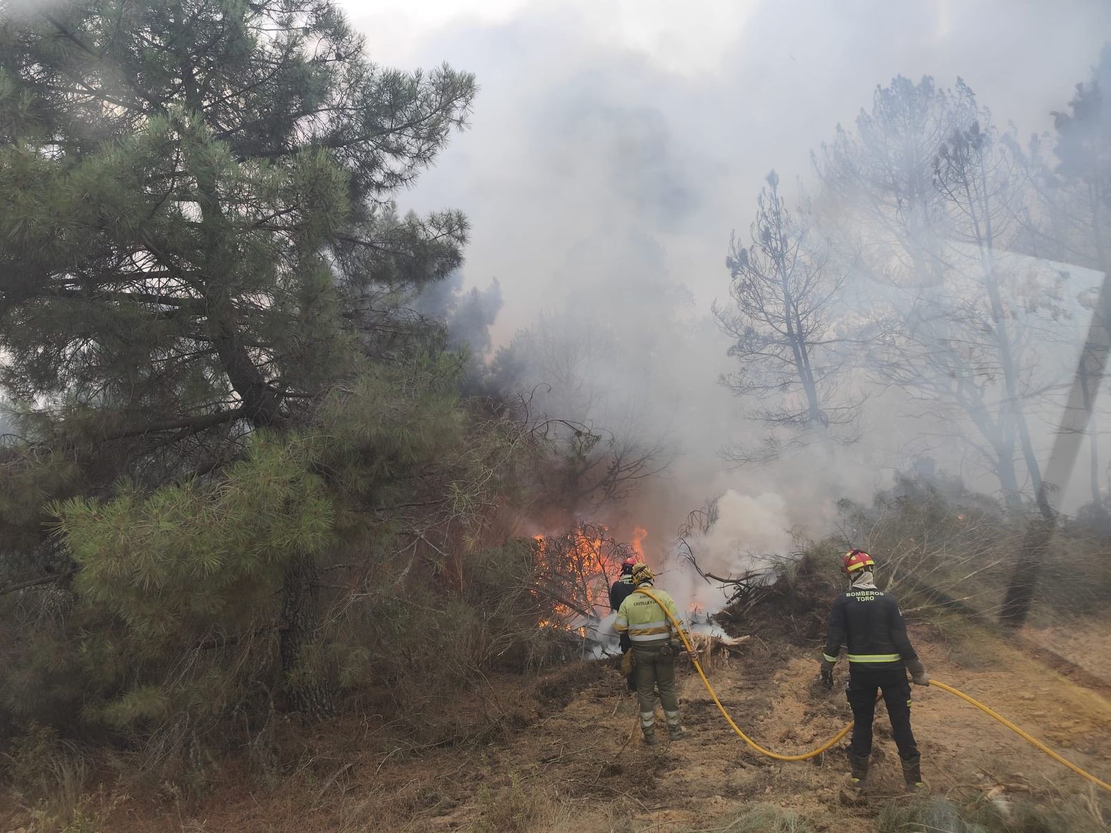 Imagen de los bomberos de Toro en la localidad de Losacio