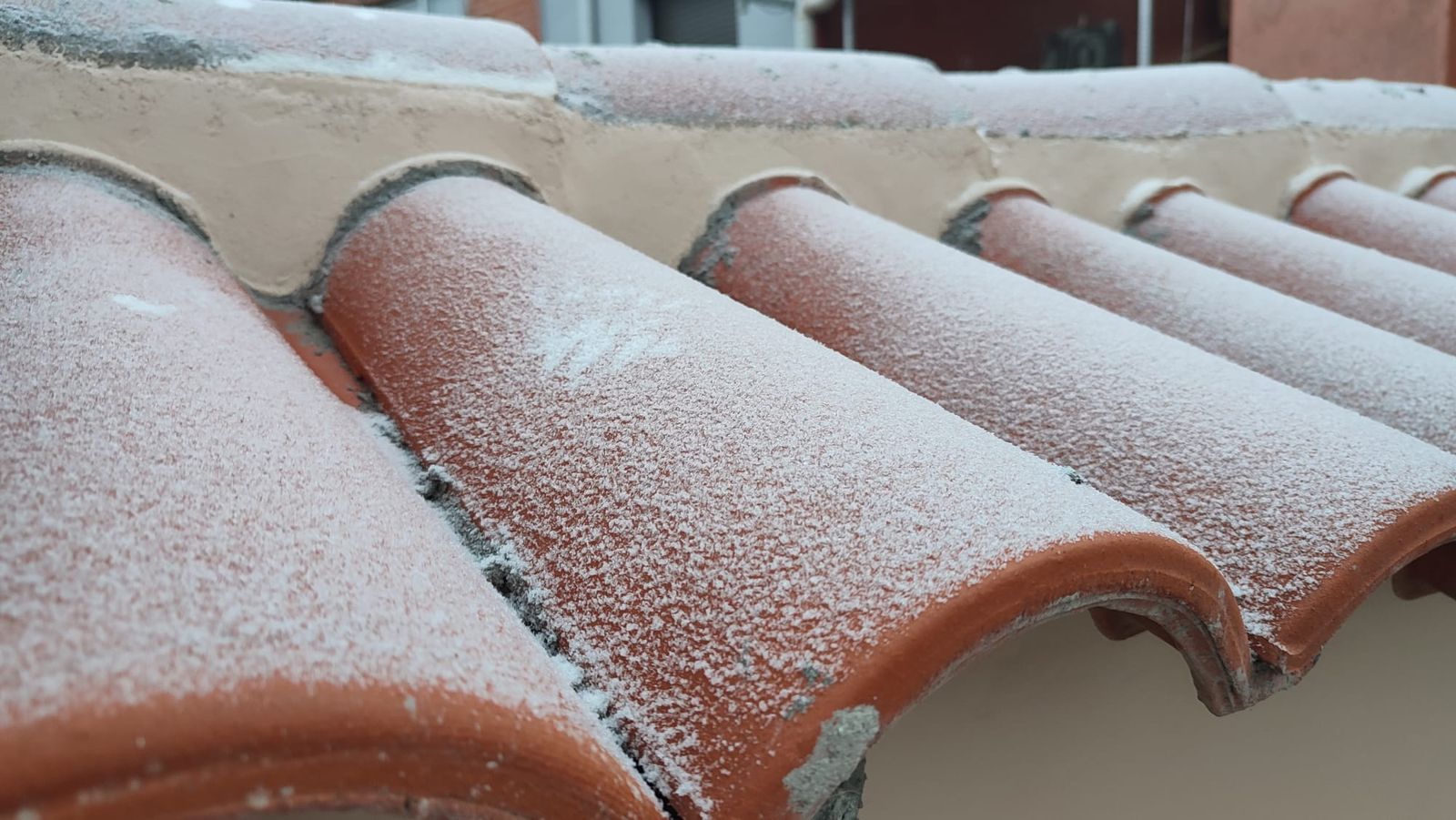 niebla-engelante-en-zamora-helada-estampa-navidena-este-martes-8