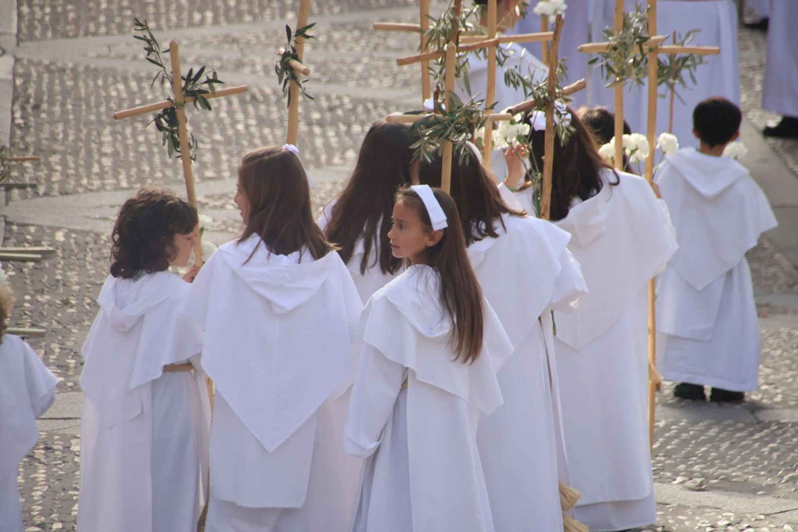 20230409092331-img-2898