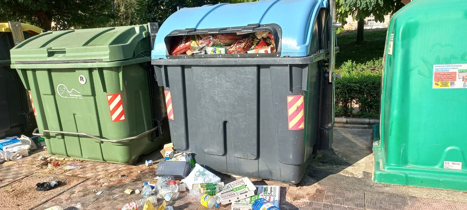 Quejas Contenedores Ciudad Rodrigo (2)