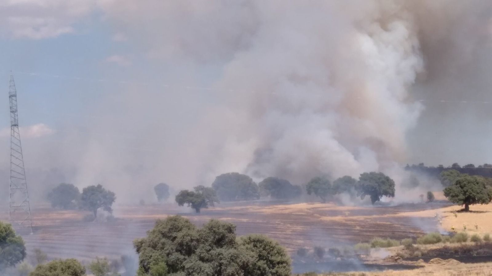 incendio-en-marquiz-de-alba-7-foto-naturalezacyl