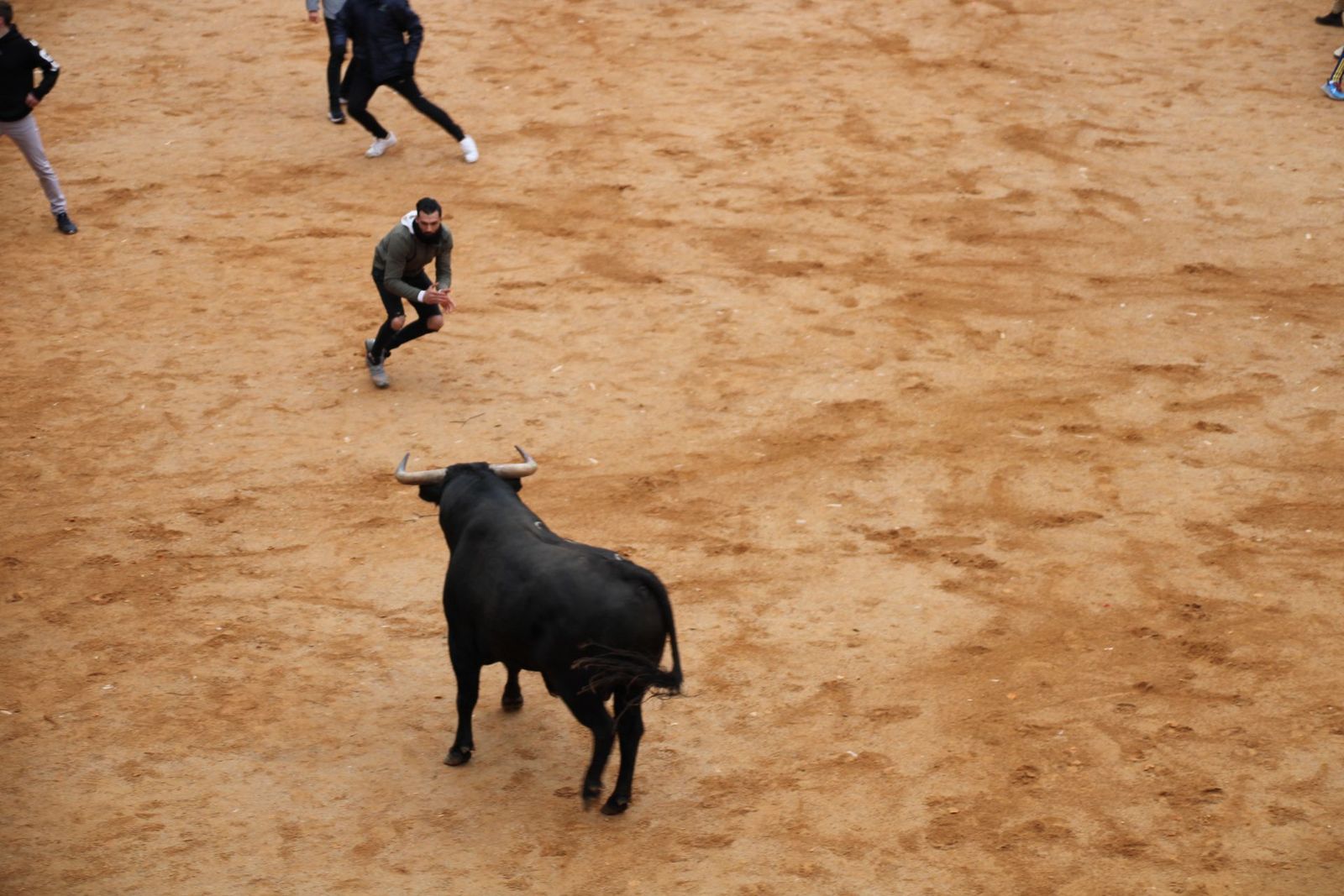 whatsapp-image-2025-03-01-at-13-18-51-2