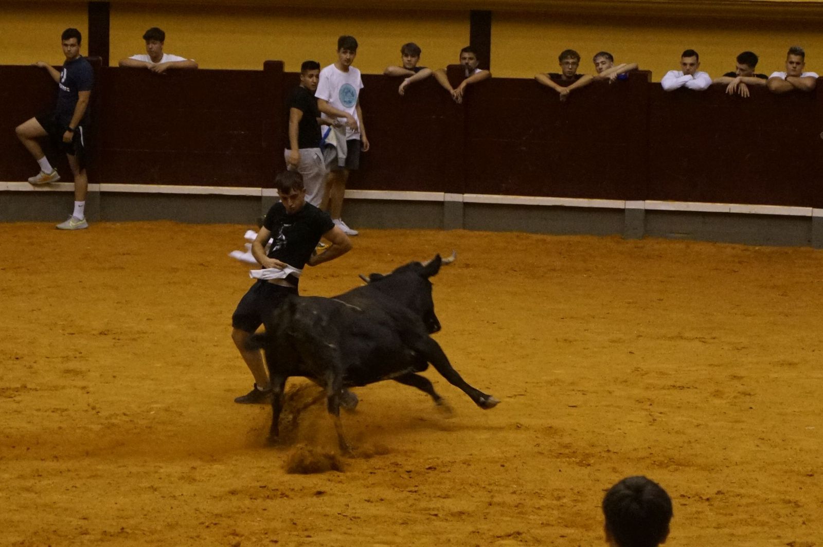 Multitudinario encierro nocturno en Alba de Tormes