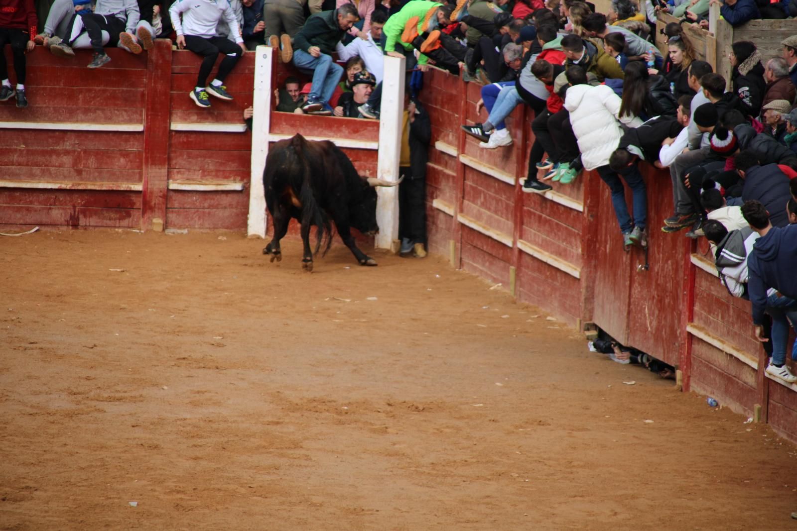 capea-matutina-del-martes-de-carnaval-10