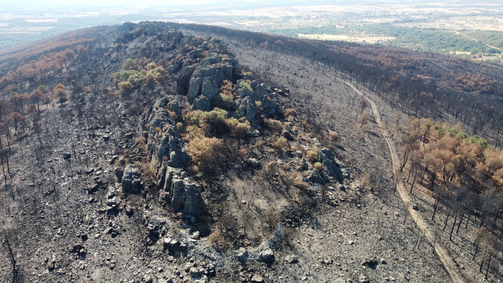 Áreas de bosquezuelos primigenios