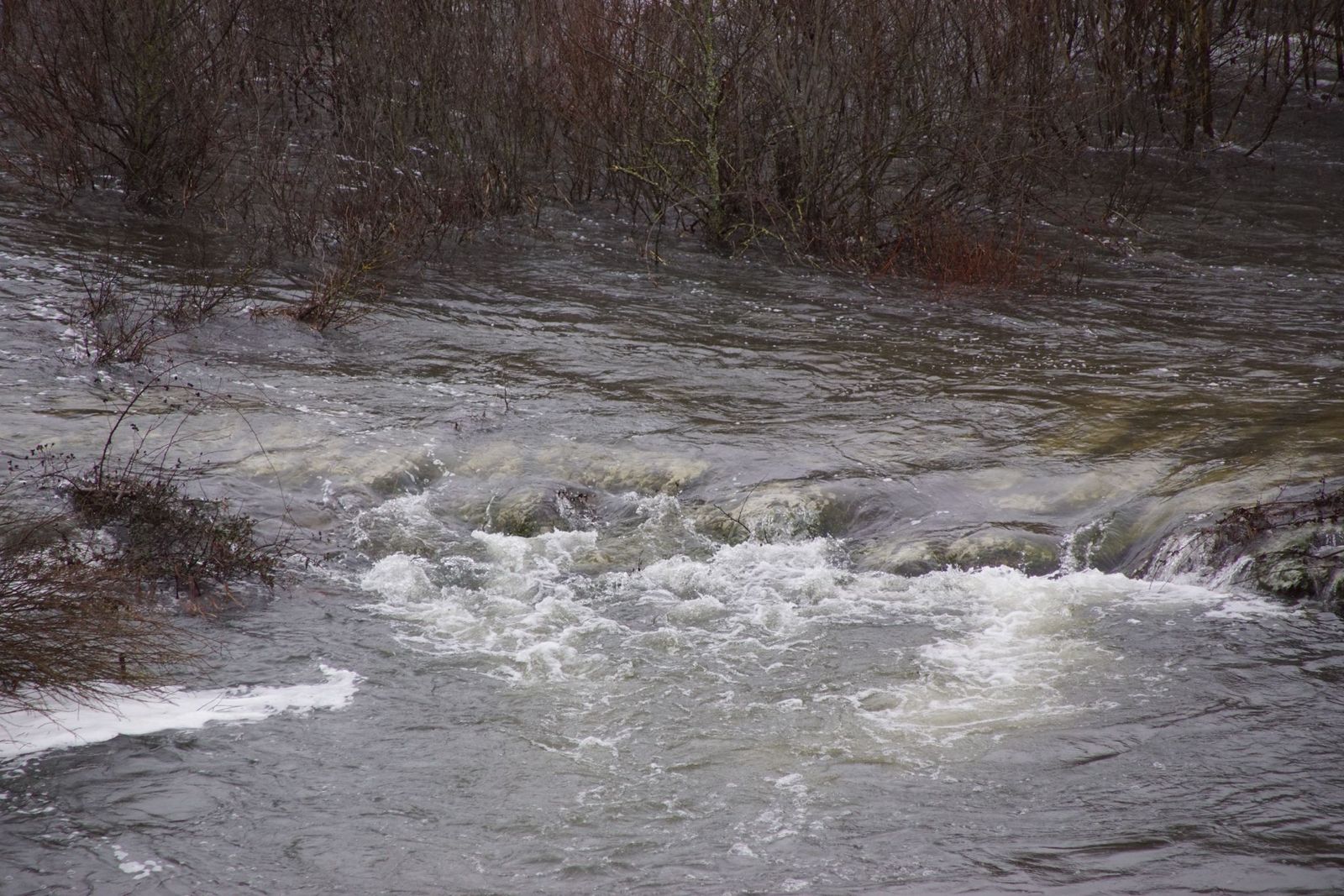 Azud de Villagonzalo  (16).jpeg