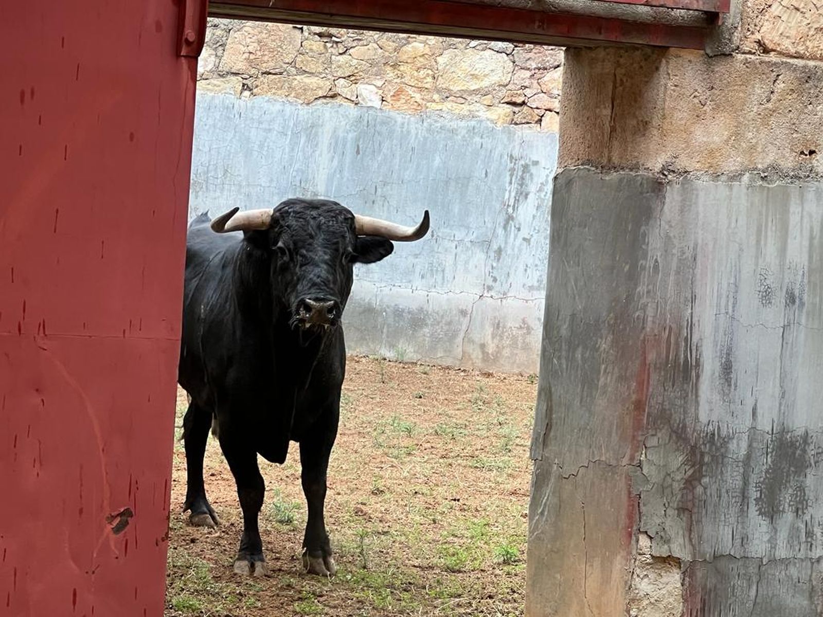 whatsapp-image-2023-09-16-at-12-54-11