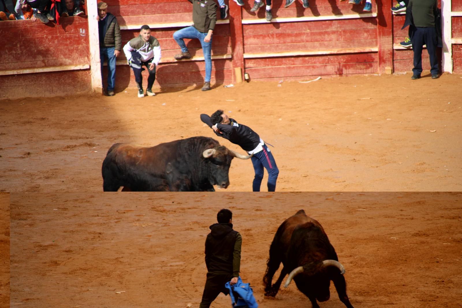 capea-matutina-del-martes-de-carnaval-21