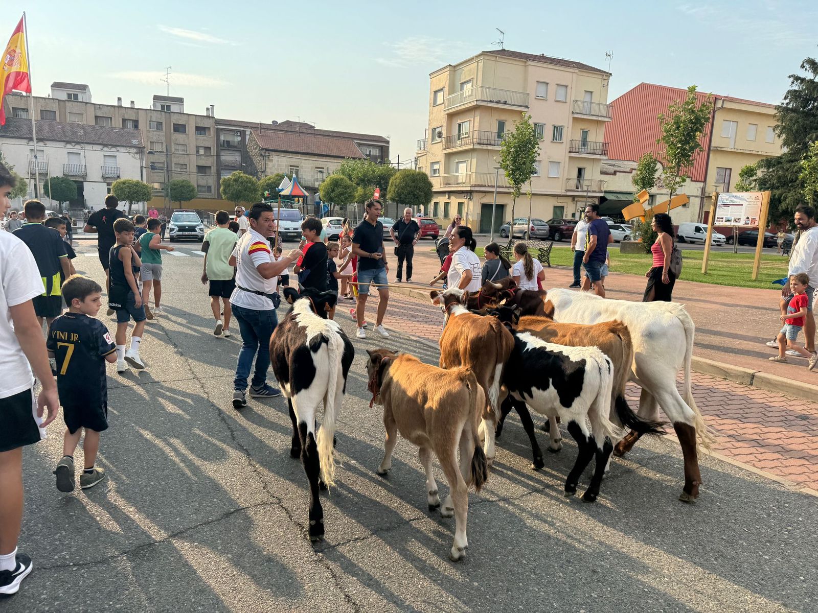 Encierro infantil de Mini Bueyes en Guijuelo durante sus fiestas 2025