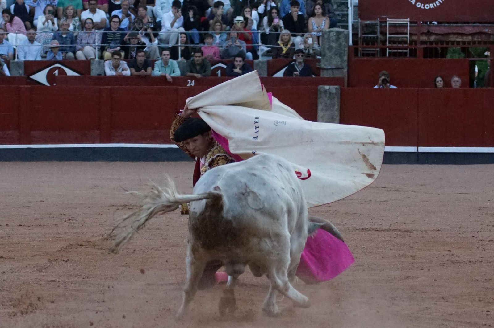 Clase práctica con alumnos de la Escuela de Tauromaquia de Salamanca (Diego Mateos, Noel García y Álvaro Rojo con erales de Esteban Isidro)