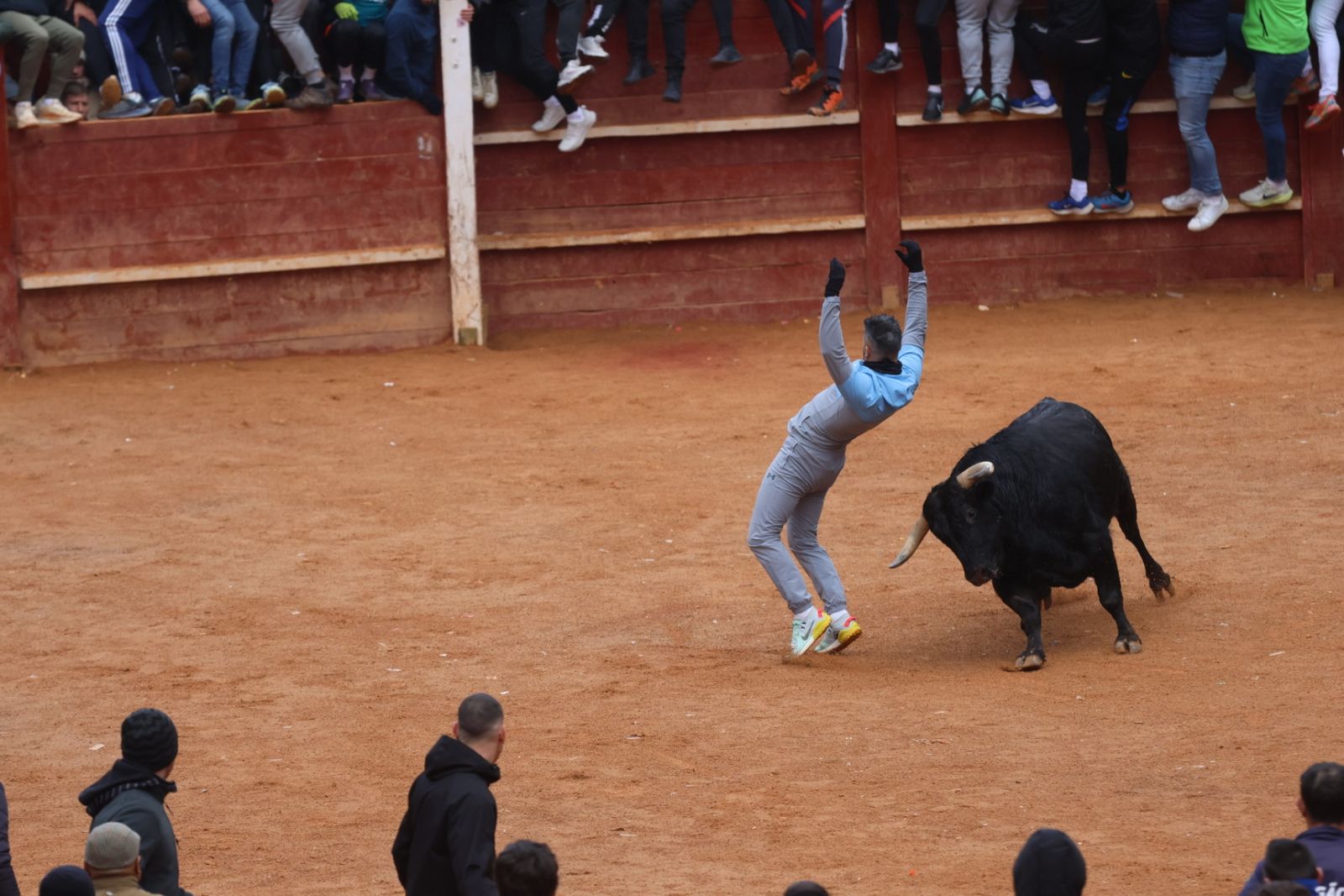 Capea de domingo en el Carnaval del Toro 2026 de Ciudad Rodrigo