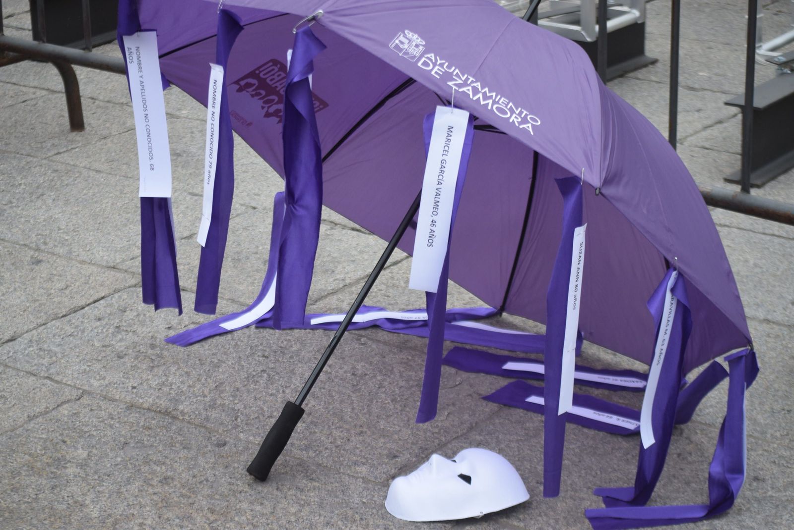 concentracion-25-n-en-zamora-10