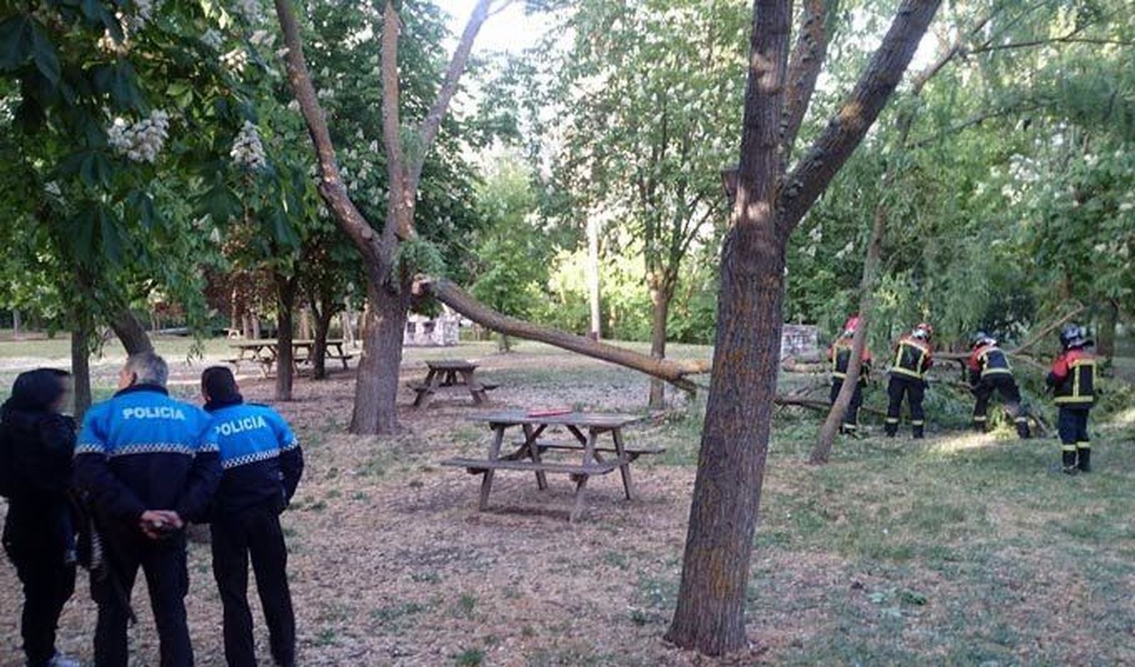 La caída de una rama de grandes dimensiones en Valorio obliga a actuar a los bomberos