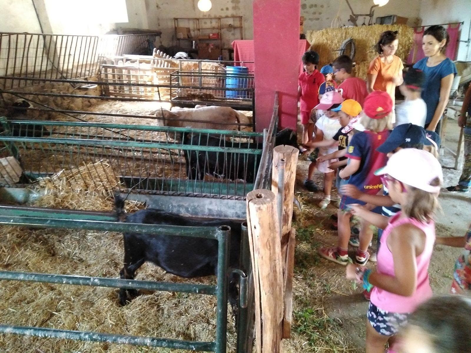 De excursión a la Granja Escuela