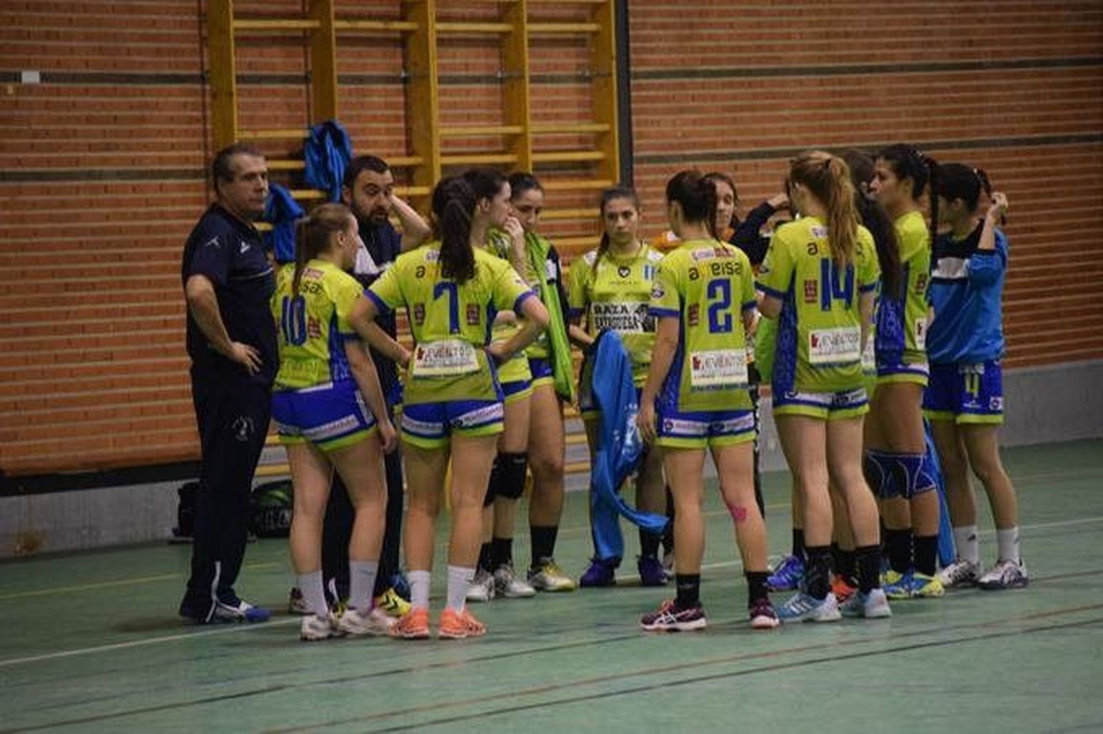 Raza Sayaguesa - Delicias