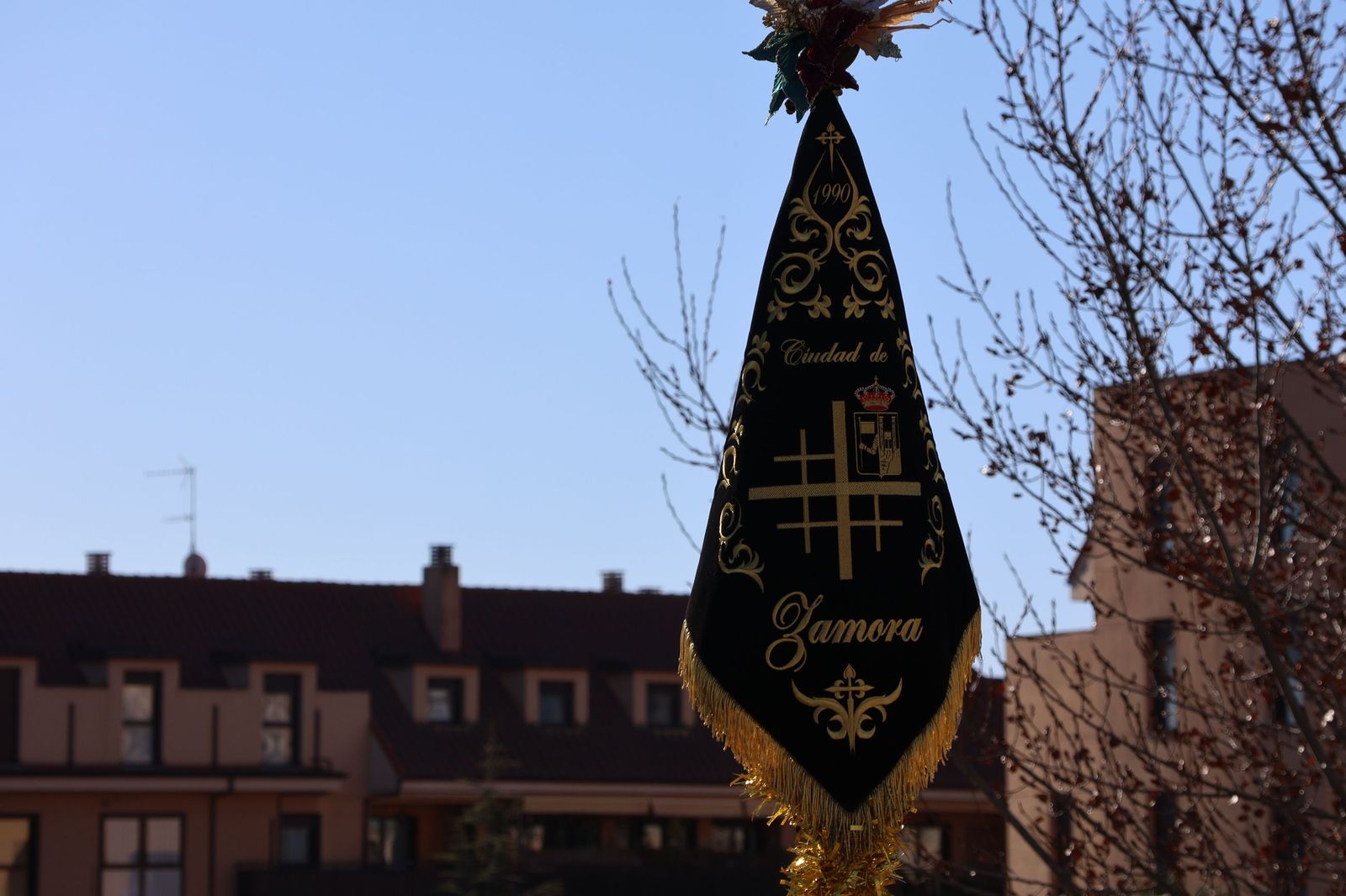 Llegada de los Reyes Magos a Zamora (13).JPG