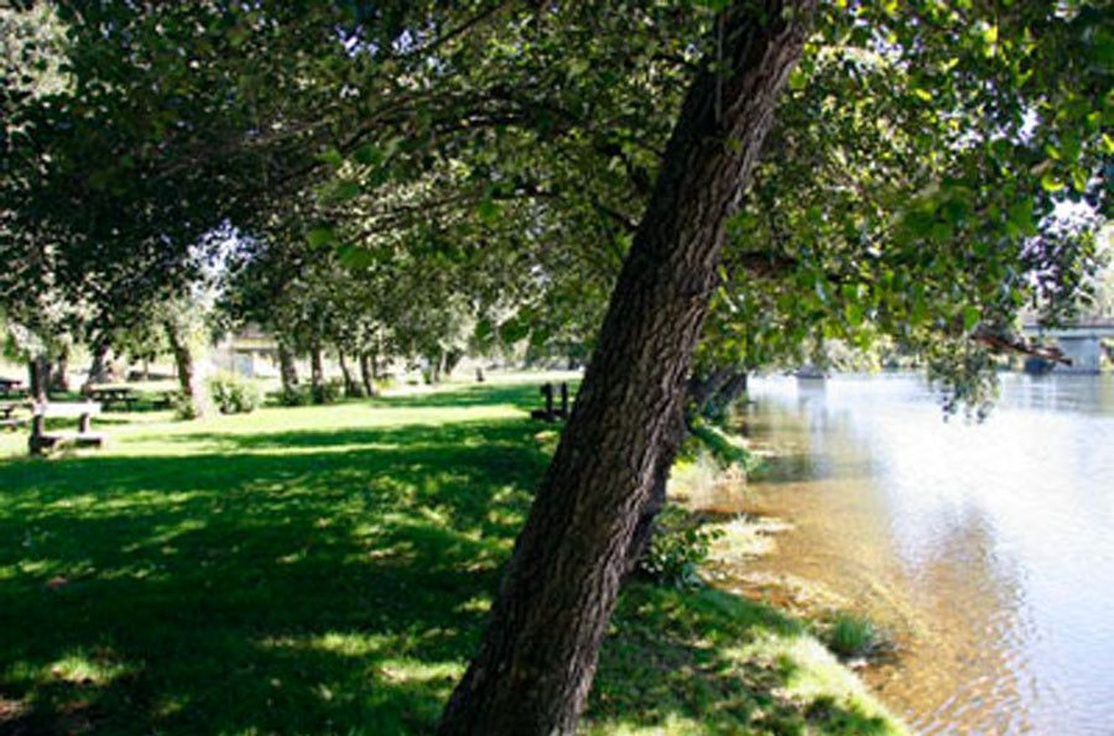 Playa fluvial camarzana