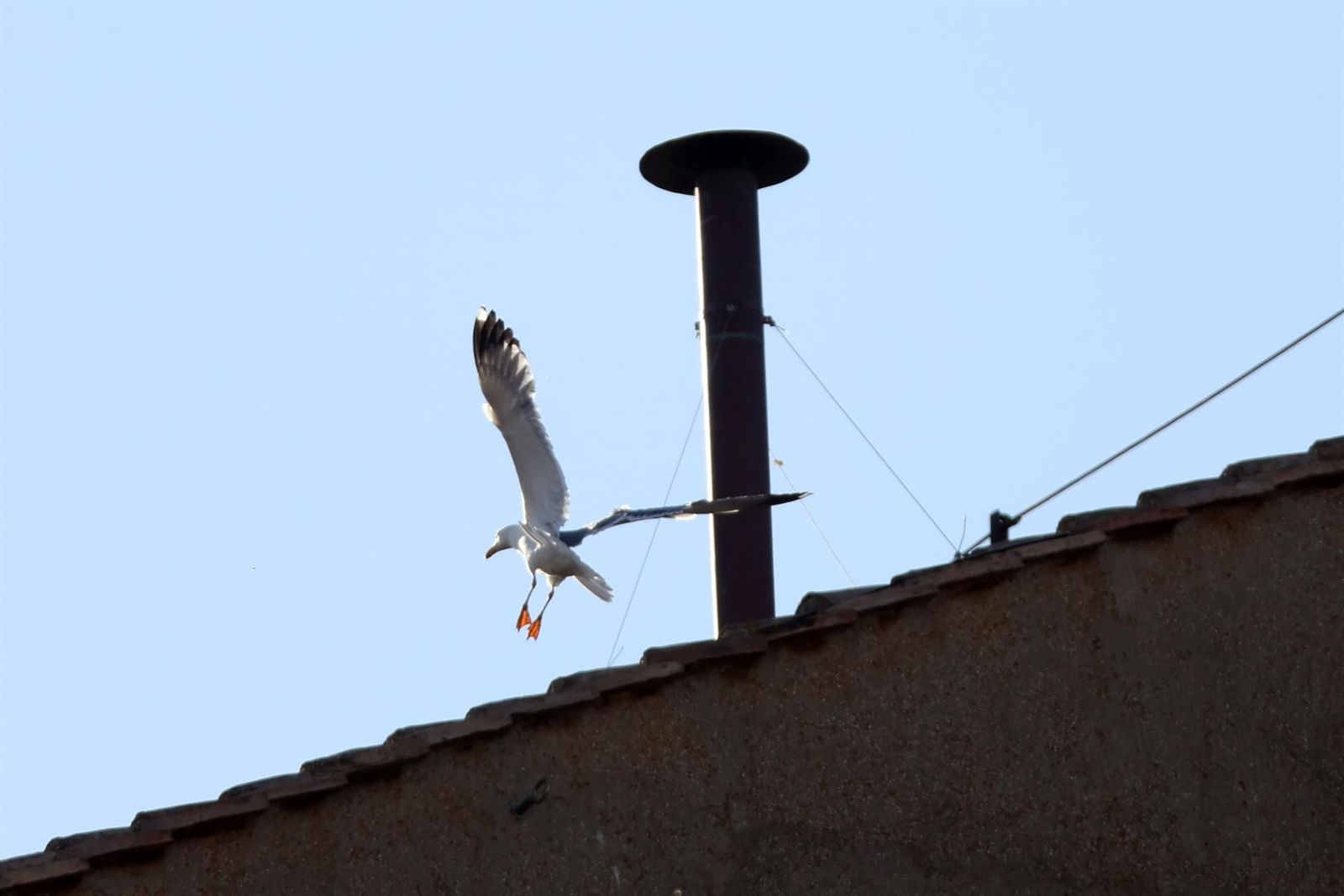 La chimenea en el tejado de la Capilla Sixtina - Europa Press/Contacto/marco iacobucci