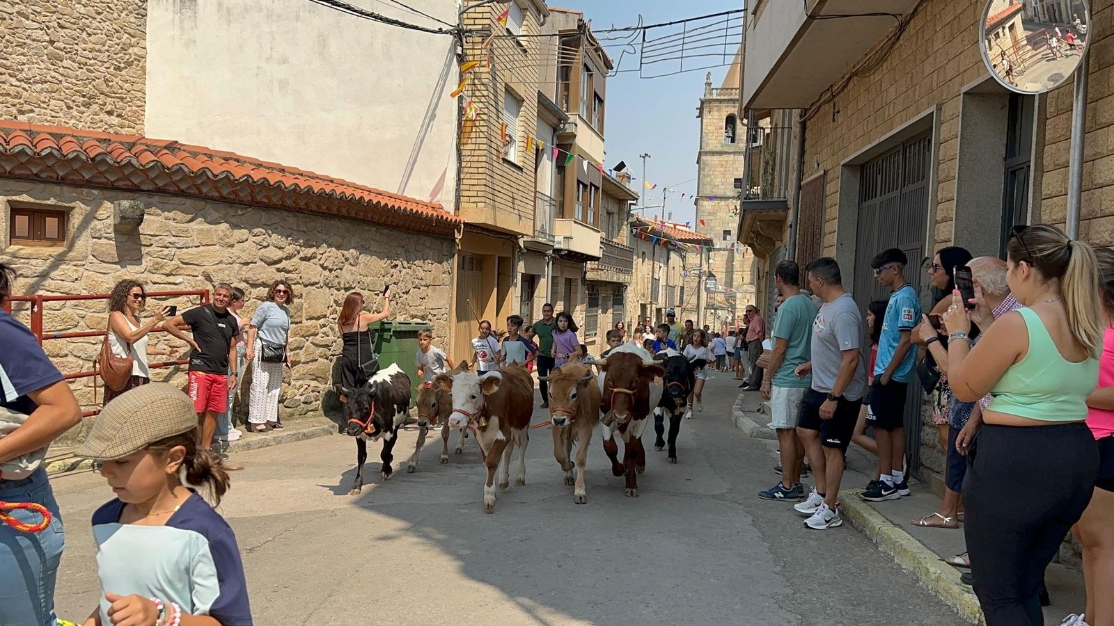 Mini bueyes en Aldeadávila