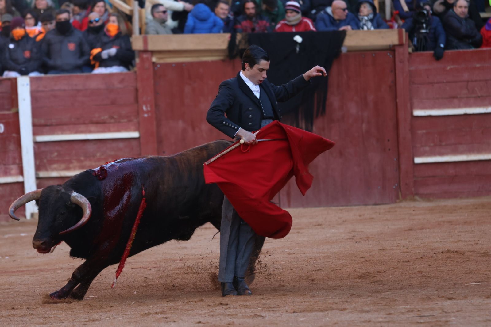 Festival taurino del Sábado en el Carnaval del Toro 2026 de Ciudad Rodrigo