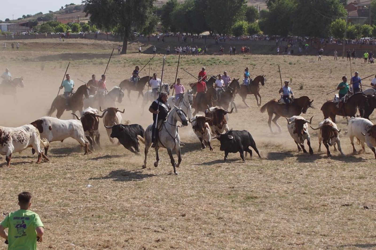 espantes-de-fuentesauco-35