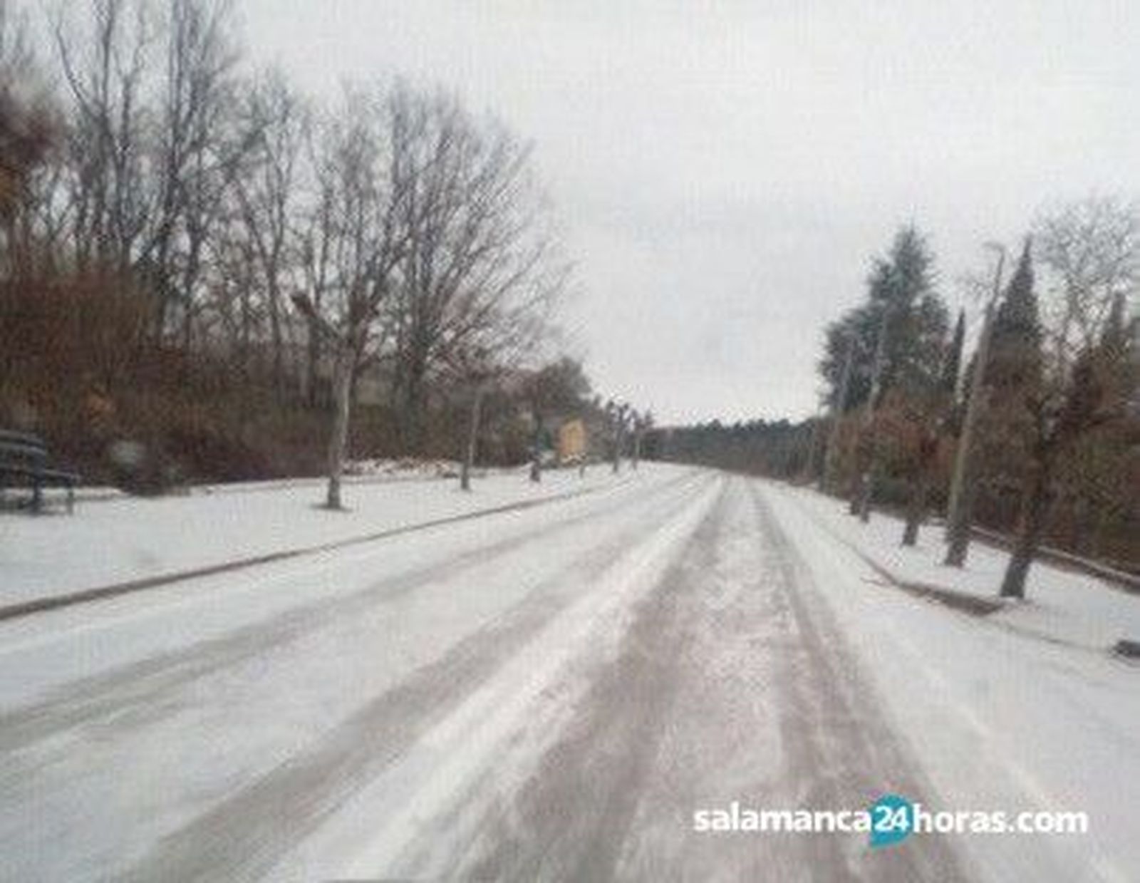 27848317 1579734552106993 1373038823 n (1)