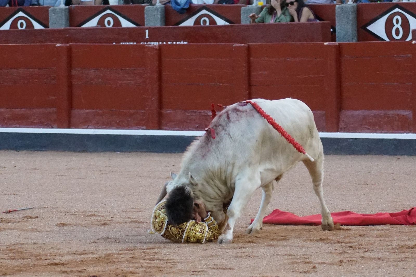 Clase práctica con alumnos de la Escuela de Tauromaquia de Salamanca (Diego Mateos, Noel García y Álvaro Rojo con erales de Esteban Isidro)