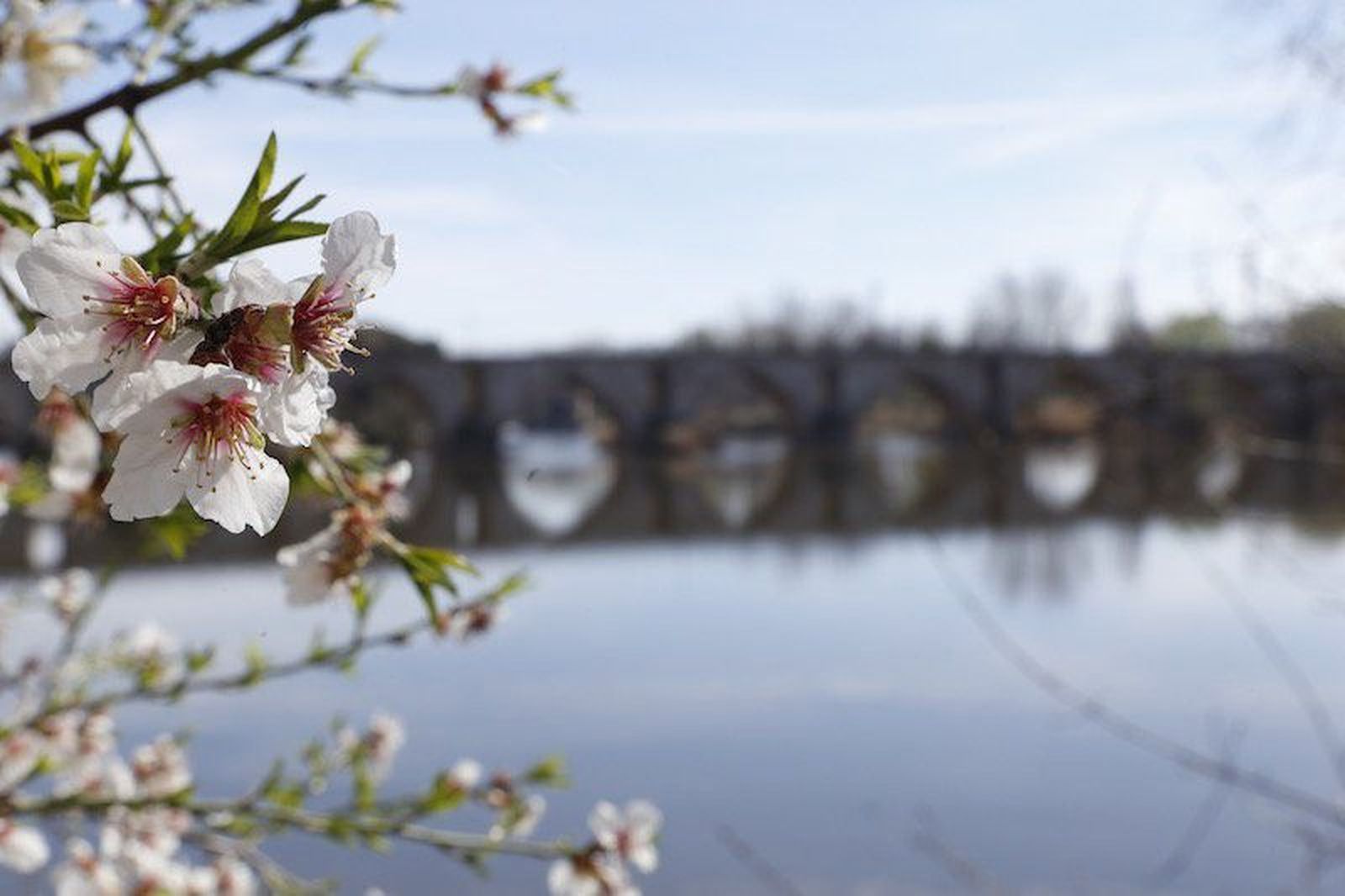 Cielos despejados y temperaturas suaves