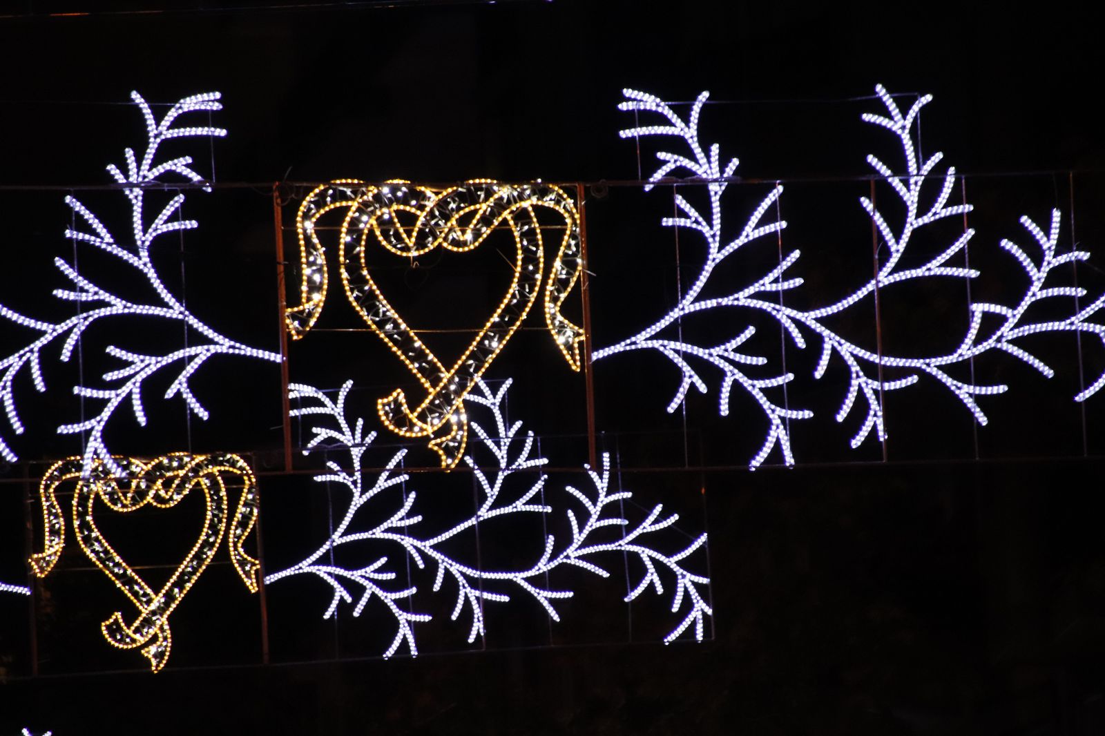 Encendido de las luces de navidad 2021 Andrea M