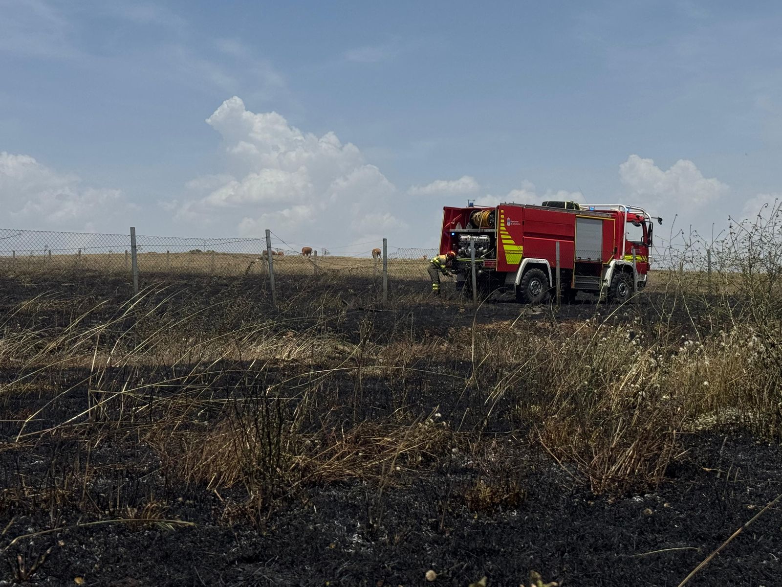 Incendio forestal en Alba de Tormes Incendio forestal en Alba de Tormes