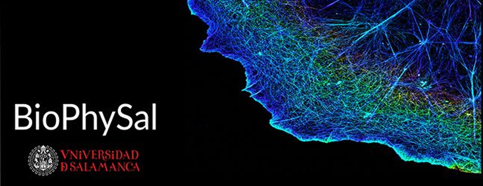 BioPhySal