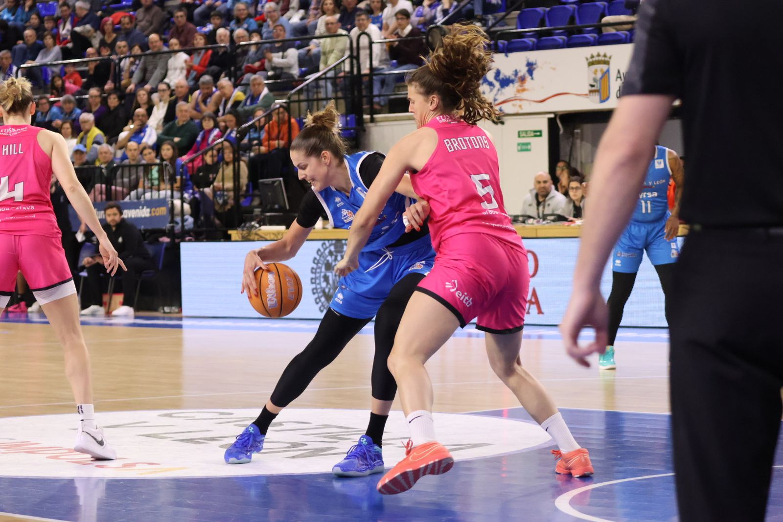 Perfumerías Avenida - Araski