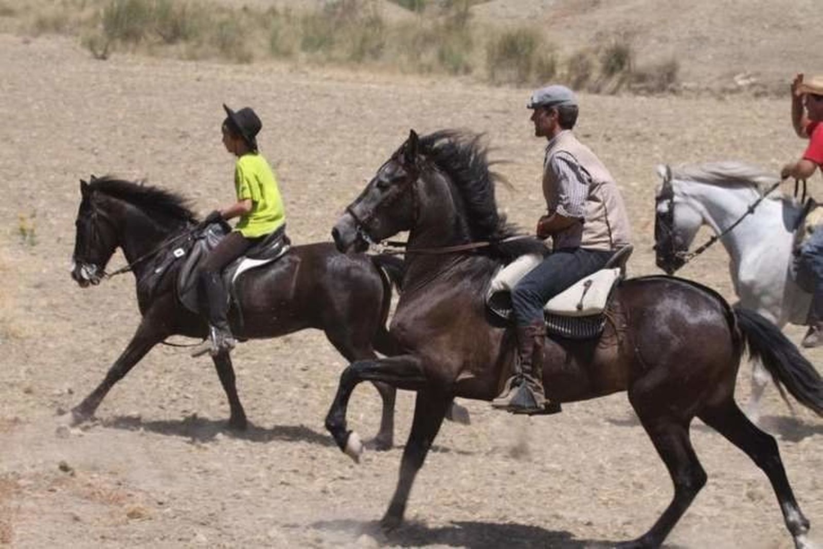 Última semana para presentar fotografías al concurso de la Feria del Caballo