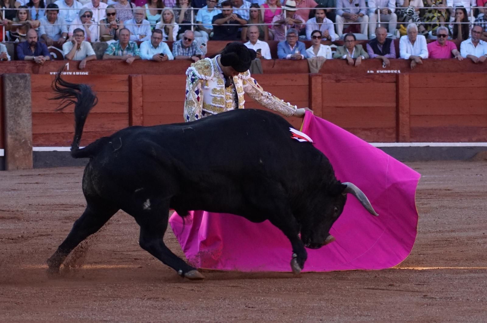 Emilio de Justo, Juan Ortega y Roca Rey inauguran el cartel de figuras en la feria de Salamanca: la corrida de Garcigrande en imágenes