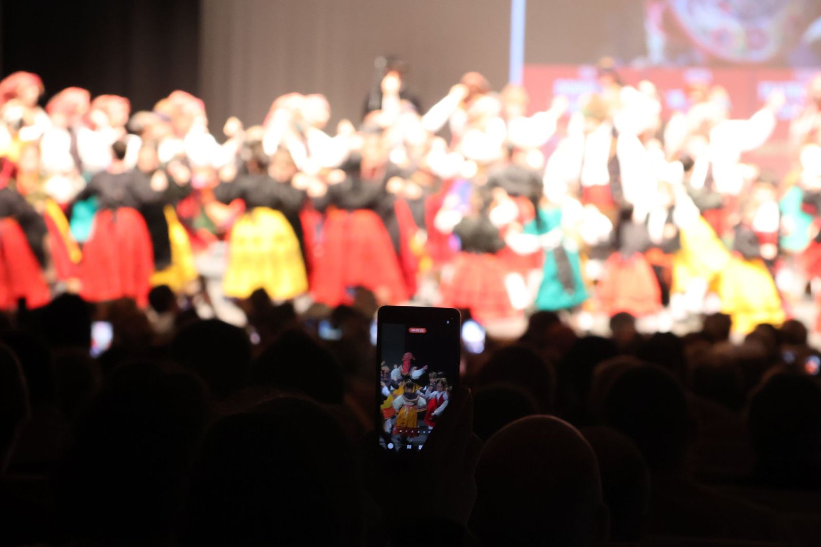 GALERÍA | Revive el Festival Solidario celebrado en el Ramos Carrión en apoyo a las enfermedades raras