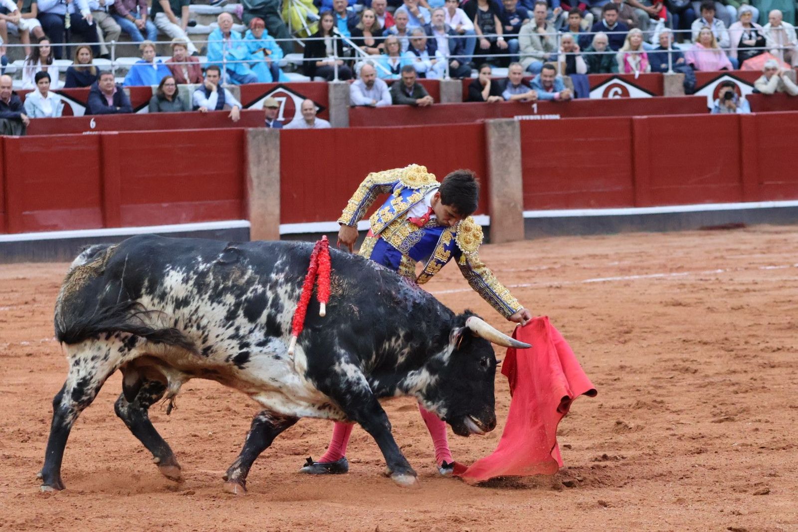 20230915185725-img-4256