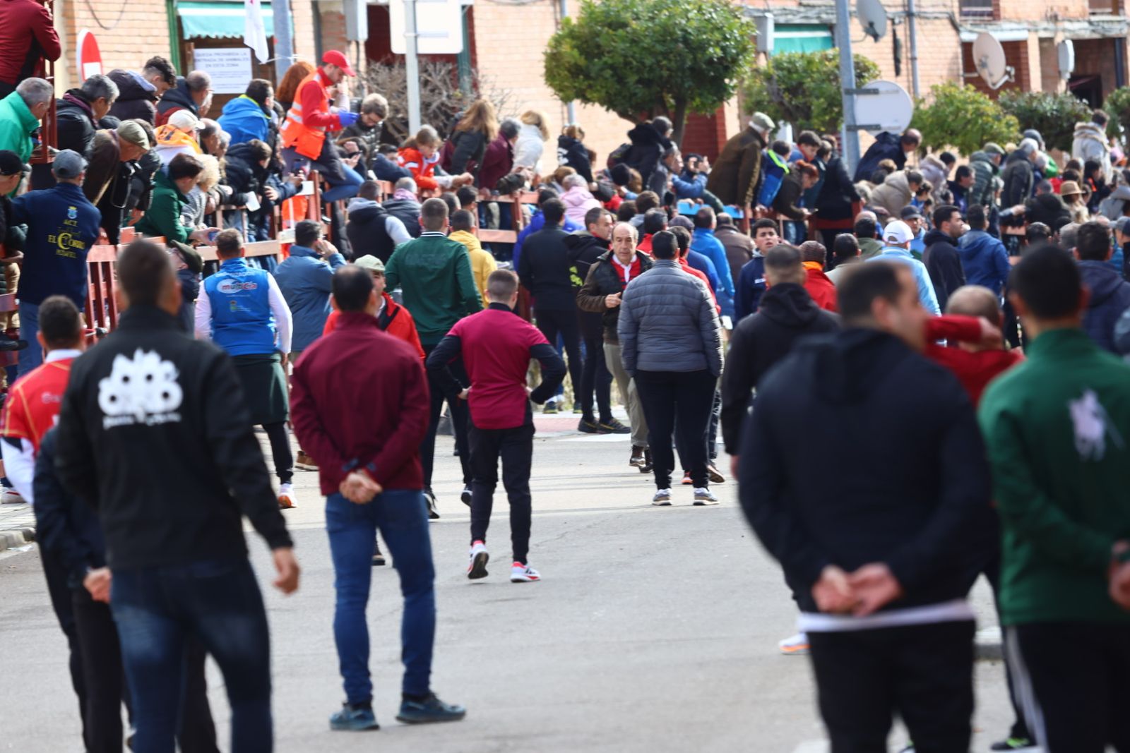 Encierro de martes en el Carnaval del Toro de Ciudad Rodrigo 2026