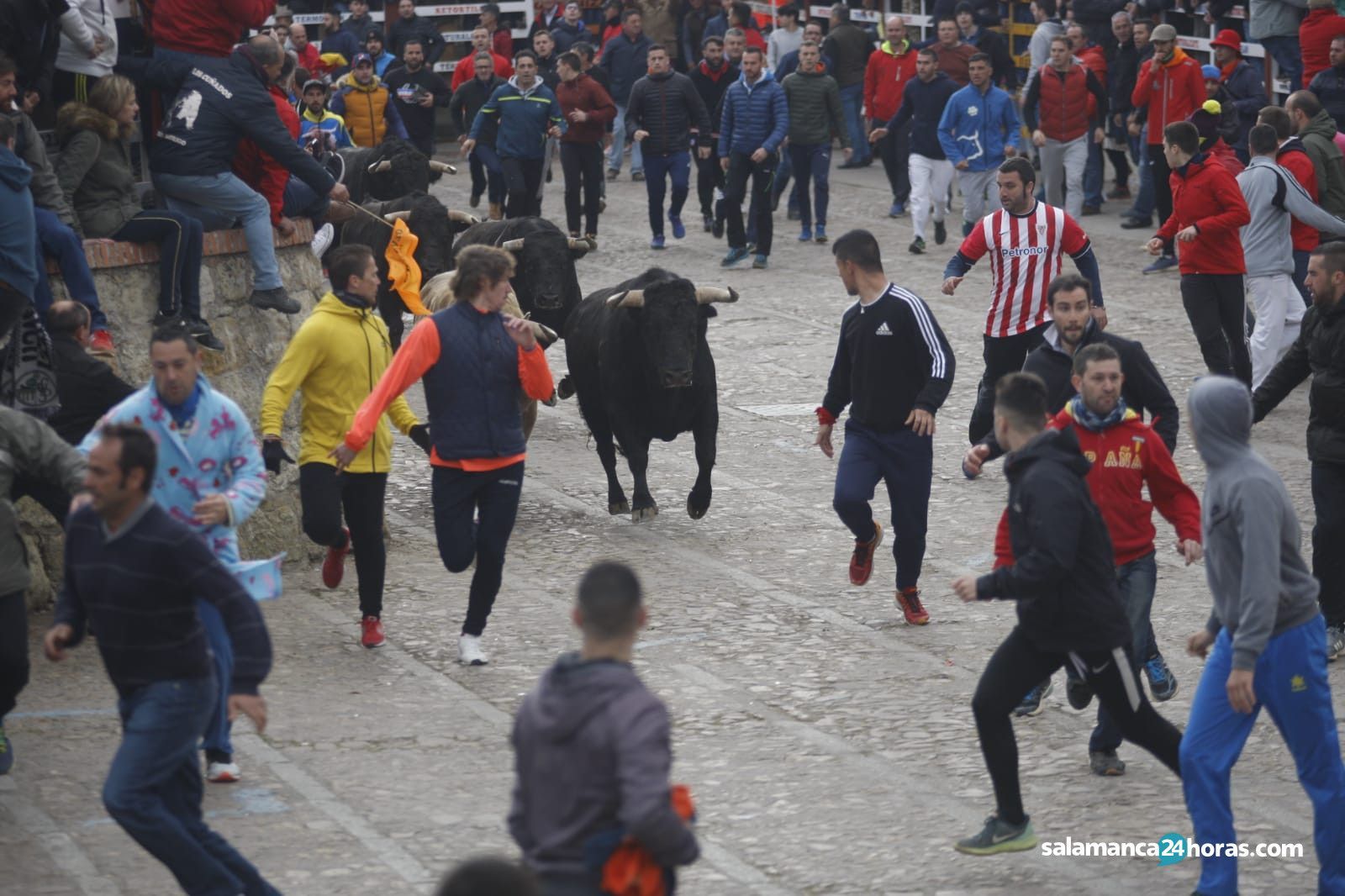 Encierro Ciudad Rodrigo martes (6)